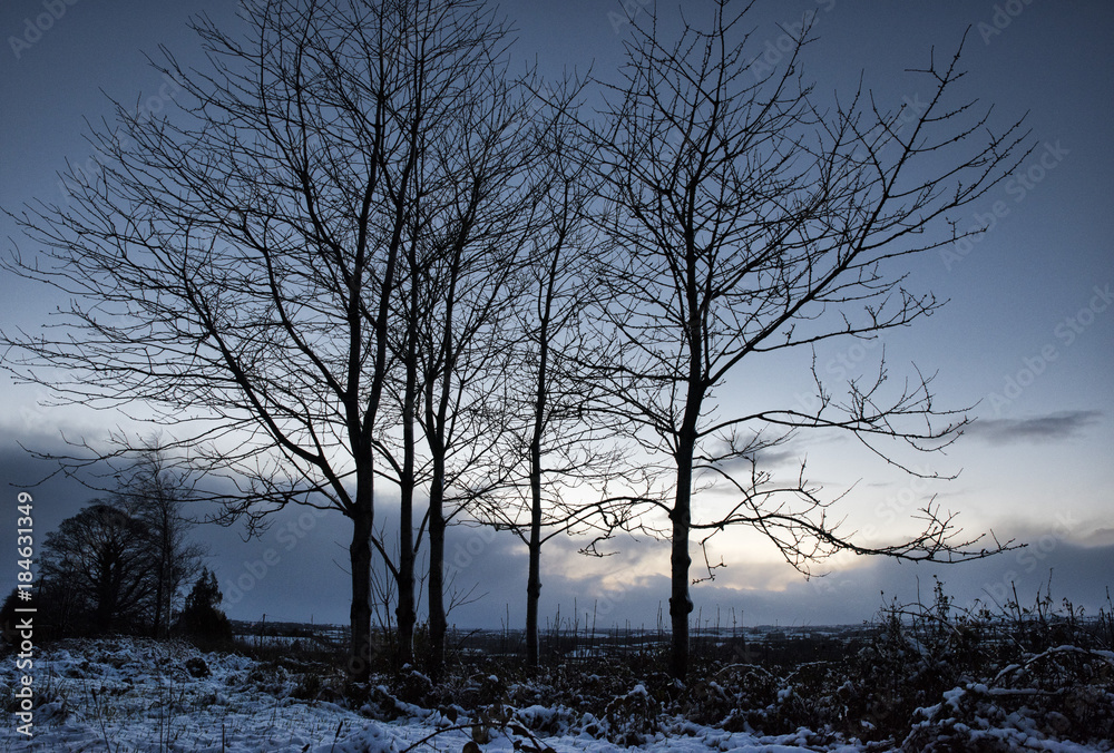 Fototapeta premium Landscape