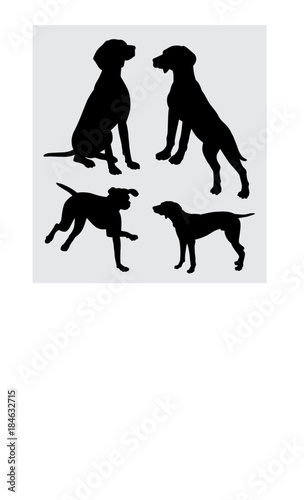 vizsla dog action silhouette good use for symbol, logo, web icon, mascot, sticker, sign, or any design you want.
