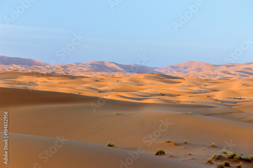 sand dune in desert at sunset
