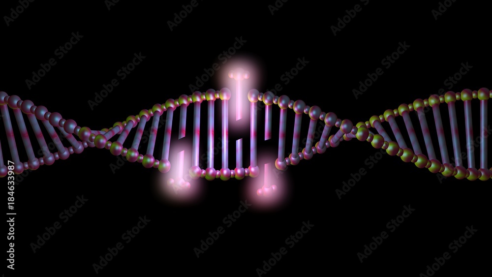 DNA molecule structure , strand , repair, editing and manipulation.3d rendering. Orange lighting. Base pairs apart