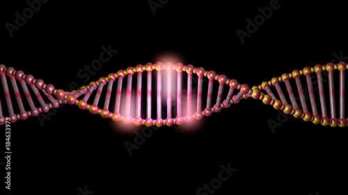 DNA molecule structure , strand , repair, editing and manipulation.3d rendering. Orange lighting.Base pairs together