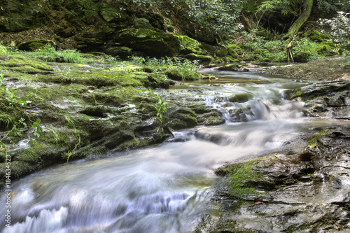 Fototapeta Naklejka Na Ścianę i Meble -  Flowing stream in the summer at Tucquan Glen Nature Preserve in Lancaster County.