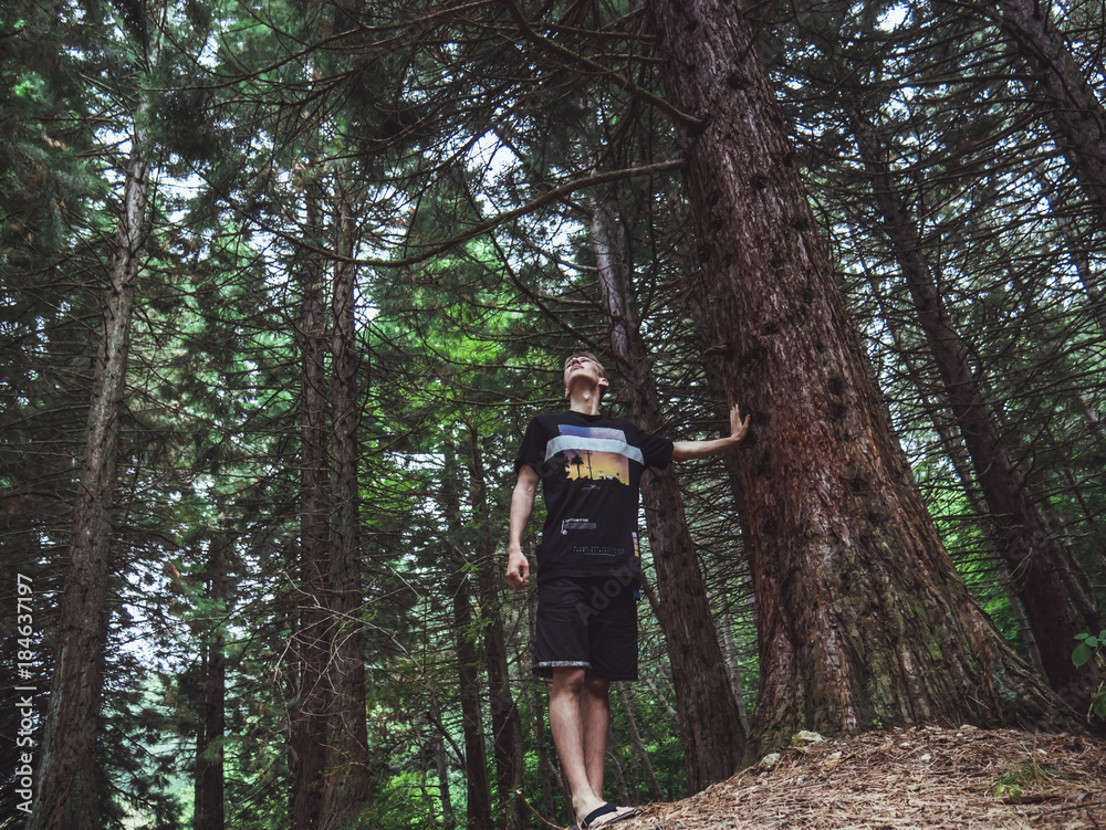 portrait of man touching the tree and looking up in the forest portrait of man touching the tree and looking up in the forest