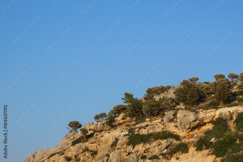 Part of the cliff with bare trees on a background of clear blue sky