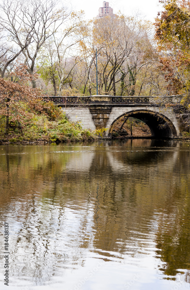 Central Park Lake and Bridge