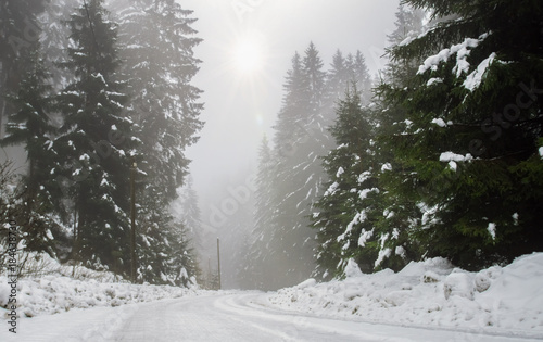 Schnee und Nebel auf dem Waldweg