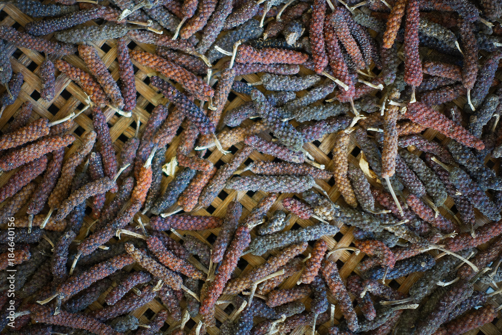 Long Pepper, Indian long pepper, Javanese long pepper Long Pepper, Indian long pepper, Javanese long pepper