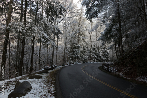 Curvy road through snow covered forest in Great Smoky Mountains National Park