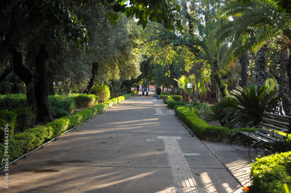 Public garden in Marrakech