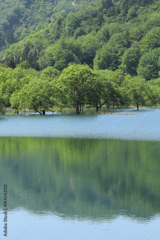 Fototapeta premium 初夏の荒沢湖 Arasawa Lake in early summer / Tsuruoka, Yamagata, Japan