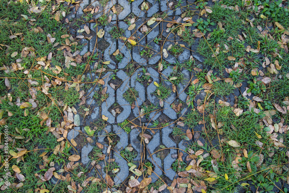 Brick block with small trees inserted.