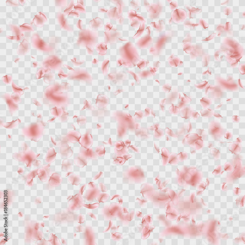 Petals falling confetti effect isolated on transparent. EPS 10 vector