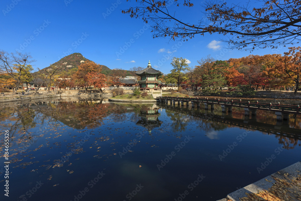 the lake, korean royal palace, Gyeongbokgung, landscape