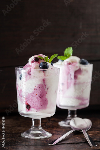 frozen yogurt with blueberries photo