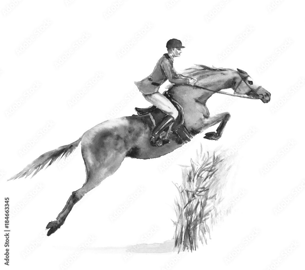 Наездник пегаса сканворд. Всадник с лошадью. Лошадь в прыжке. Всадник на лошади черно белый. Наездник на лошади черно белый.