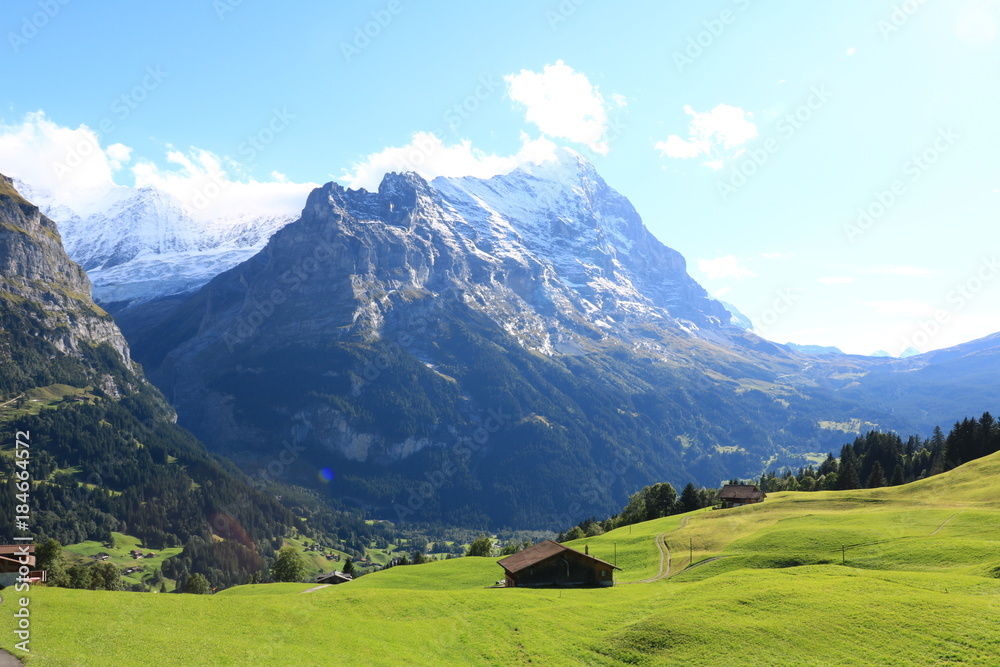 Swiss's nature