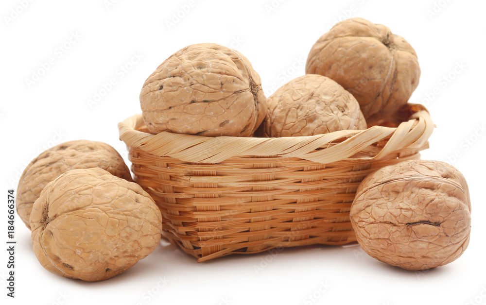 Walnut Walnut