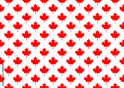 Red maple canada seamless pattern.