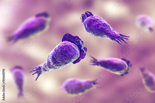 Φωτογραφία Brain-eating amoeba infection, naegleriasis