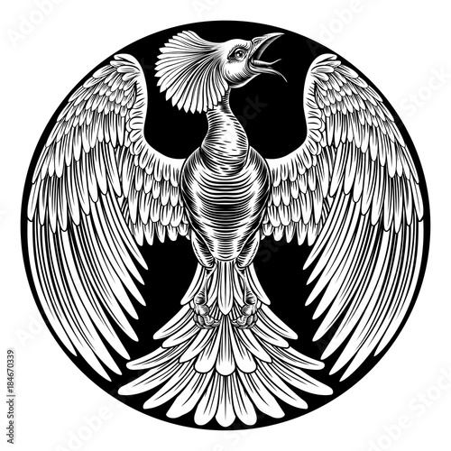Phoenix Fire Bird Design