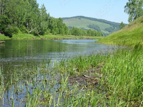 Small river in the forest-steppe