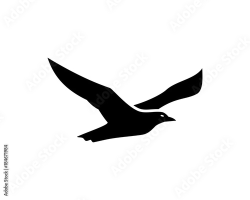 Black Albatross Flying Bird Illustration Logo Silhouette
