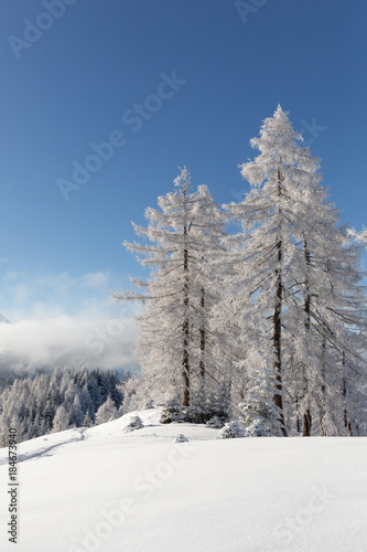 Winter scenery with a lot of fresh snow