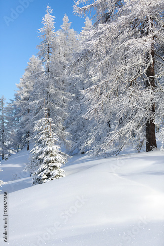 Winter landscape. Austrian Alps