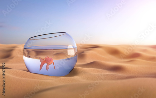 Fisch im Glas in der Wüste