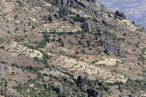 Field terraces in the Ethiopian mountains