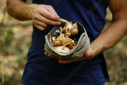 Small harvest of mushrooms