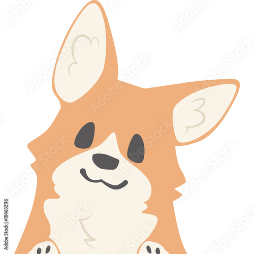 ひょっこり顔を覗かせる犬（コーギー）