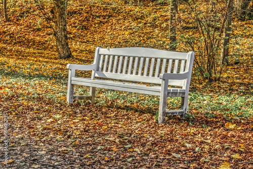 autumn white bench