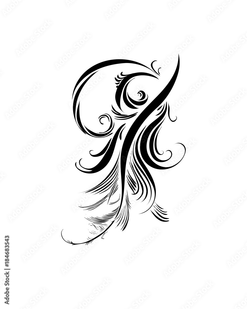 Hand drawn delicate anemone flower calligraphy style Hand drawn delicate anemone flower calligraphy style