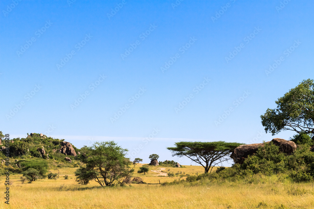 Landscapes of savanna Serengeti. Tanzania, Africa