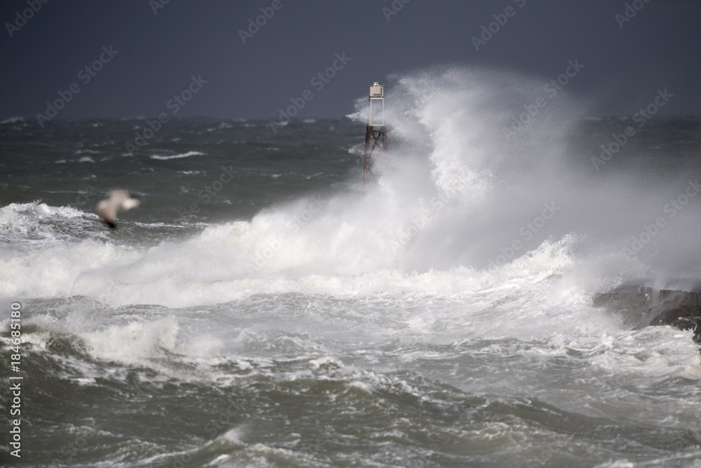 Fototapeta premium Eine Sturmflut an der Nordsee