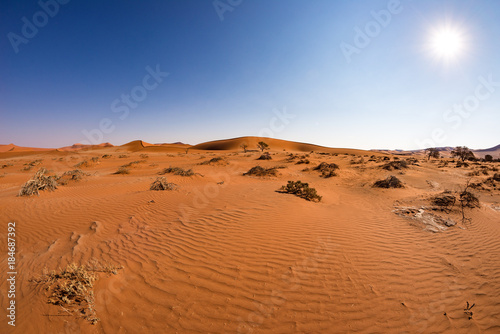 Sand dunes in the Namib desert at dawn  roadtrip in the wonderful Namib Naukluft National Park  travel destination in Namibia  Africa.