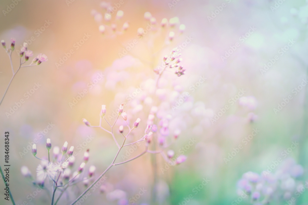 romance soft grass flowers field sweet pink and blue pastel nature background for valentine and wedding invitation card in vintage tone with copy space romance soft grass flowers field sweet pink and blue pastel nature background for valentine and wedding invitation card in vintage tone with copy space