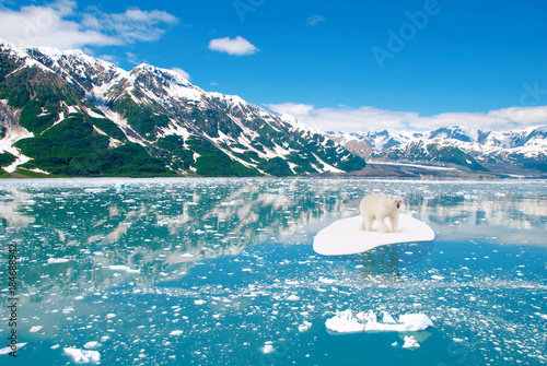 Eisbär treibt auf Eisscholle Klimawandel Erderwärmung