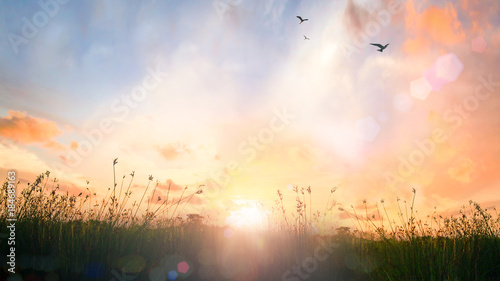 Fotografie, Tablou Happy thanksgiving day concept: Beautiful meadow and sky autumn sunrise backgrou