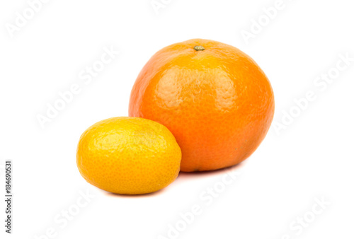 Mandarin and kumquat