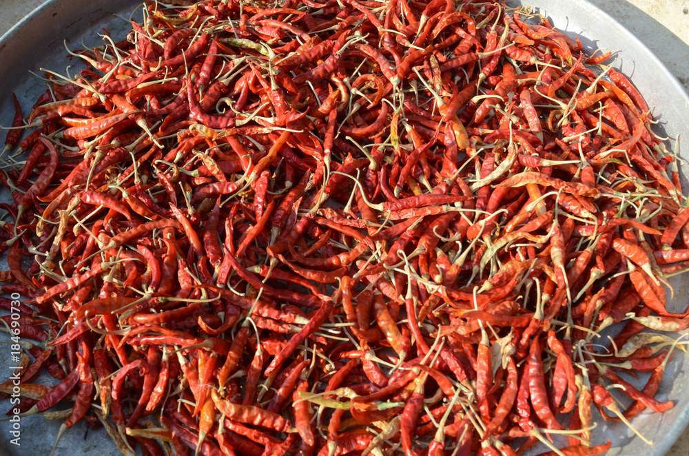 Fototapeta premium chili in thailand