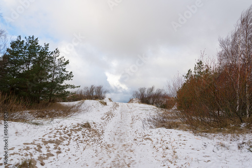 Wallpaper Mural Icy path to sea in winter, Liepaja, Latvia. Torontodigital.ca