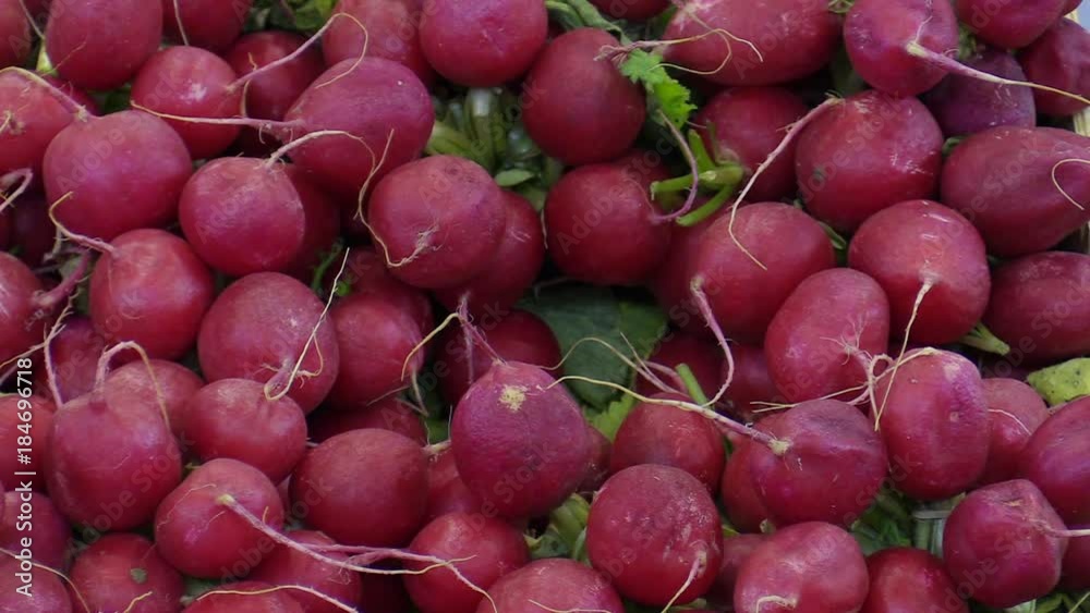 Fresh radish Raphanus raphanistrum in the city market place, edible root vegetable, very healthy many vitamins and minerals, naturally bitter taste Fresh radish Raphanus raphanistrum in the city market place, edible root vegetable, very healthy many vitamins and minerals, naturally bitter taste
