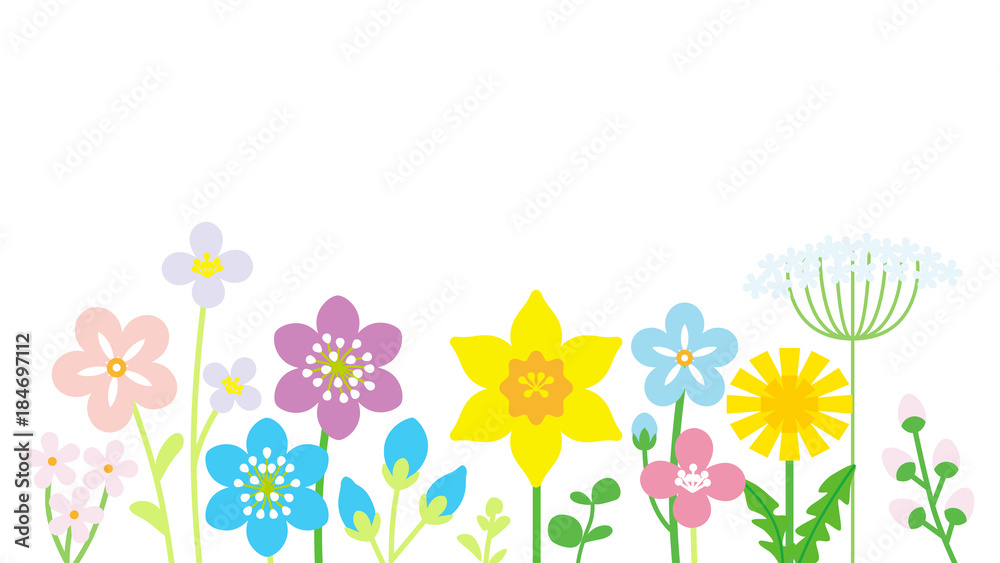 Lined up Colorful Wildflowers White background