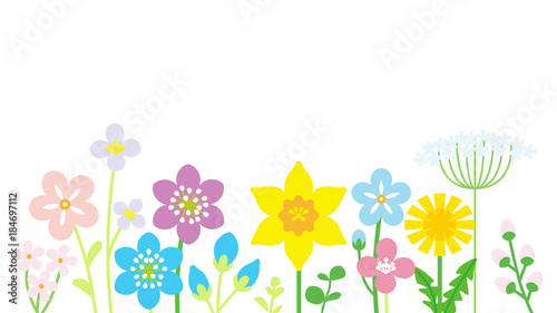Lined up Colorful Wildflowers White background