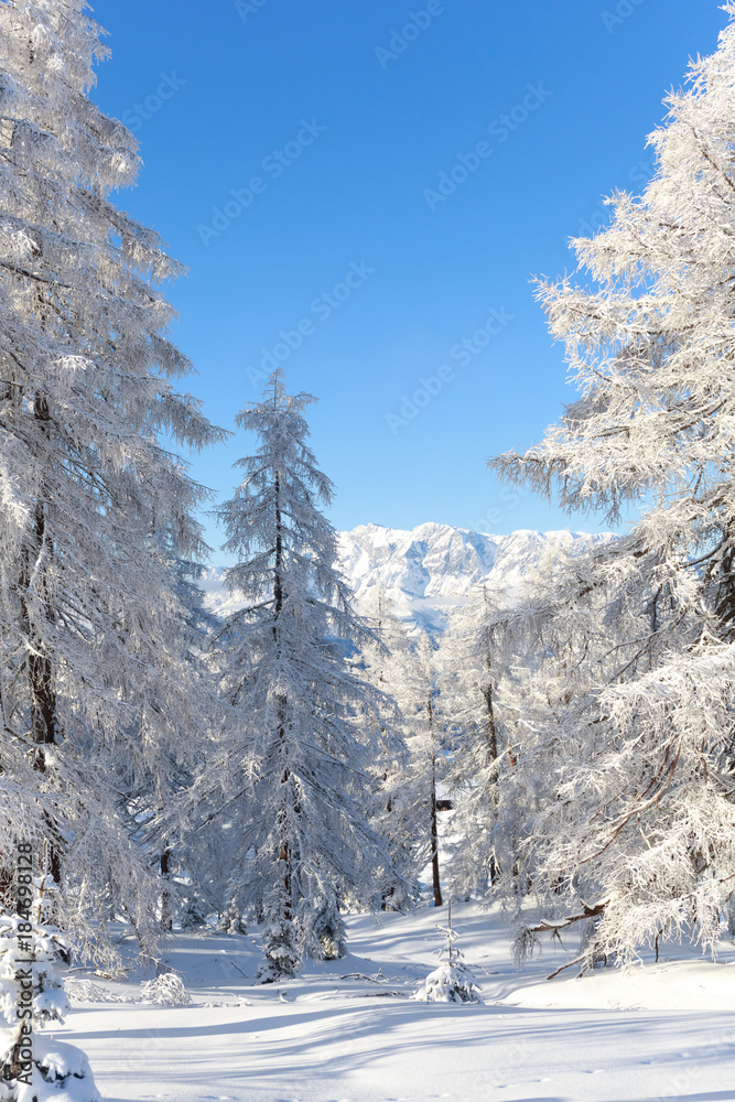 Alpenlandscaft im Schnee 