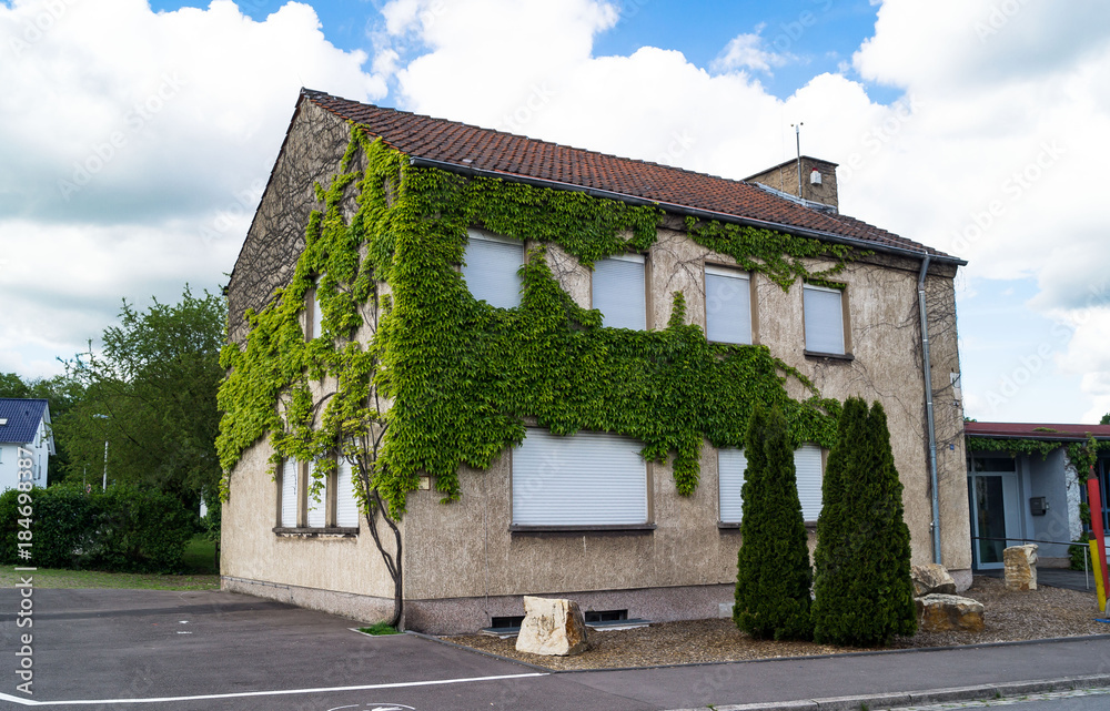 Efeuhaus Efeuhaus