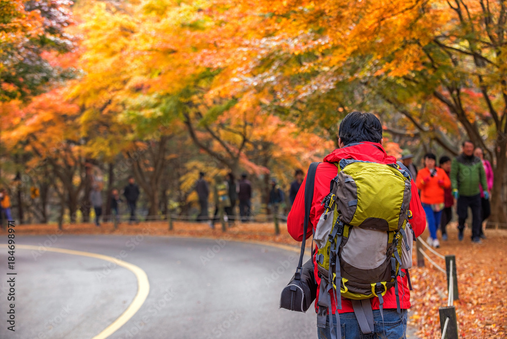 Fototapeta premium Backpacker Autumn in naejangsan park,South Korea.
