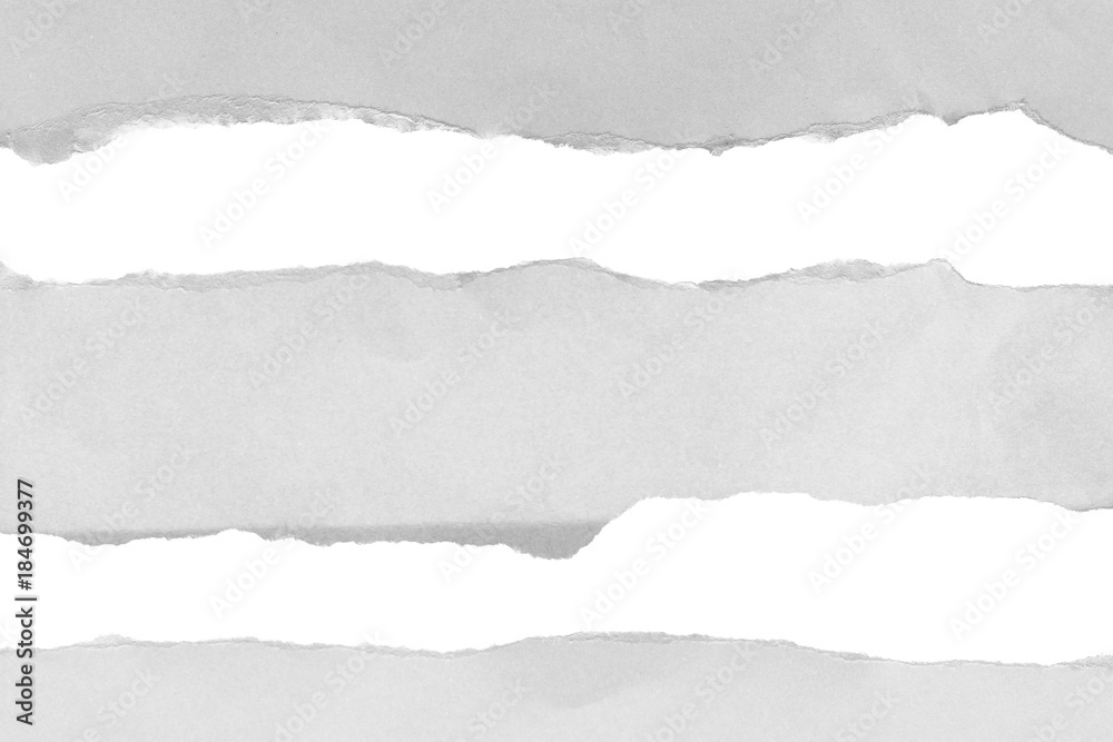 pieces of torn paper. copy space